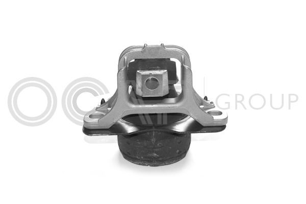 Variklio montavimas OCAP 1225453