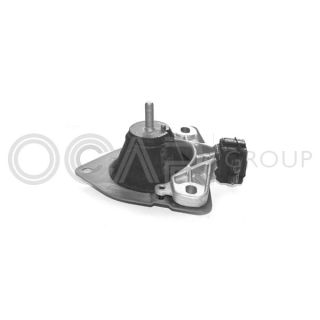 Variklio montavimas OCAP 1225454