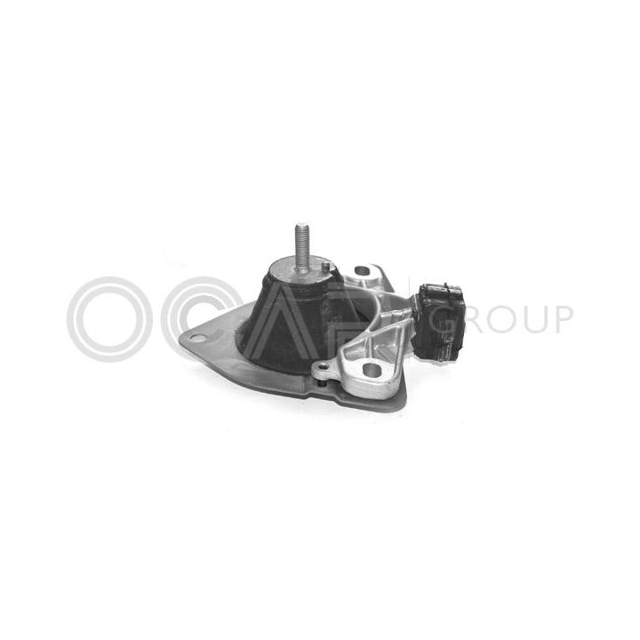 Variklio montavimas OCAP 1225454