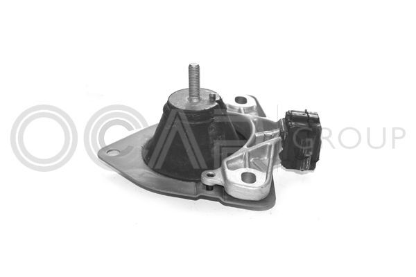 Variklio montavimas OCAP 1225454