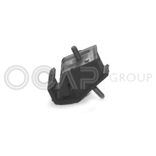 Variklio montavimas OCAP 1225460