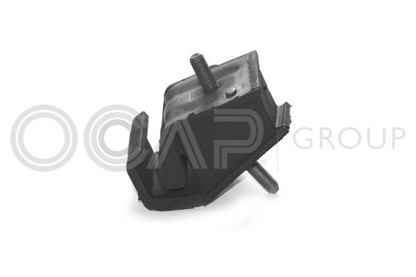 Variklio montavimas OCAP 1225460