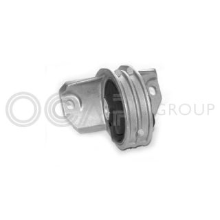 Variklio montavimas OCAP 1225461