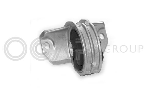 Variklio montavimas OCAP 1225461