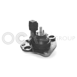 Variklio montavimas OCAP 1225463
