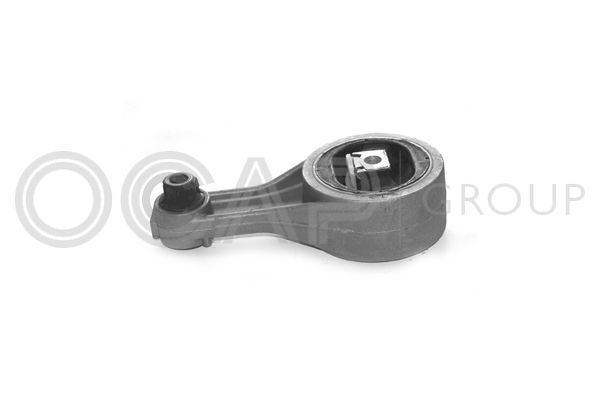 Variklio montavimas OCAP 1225464