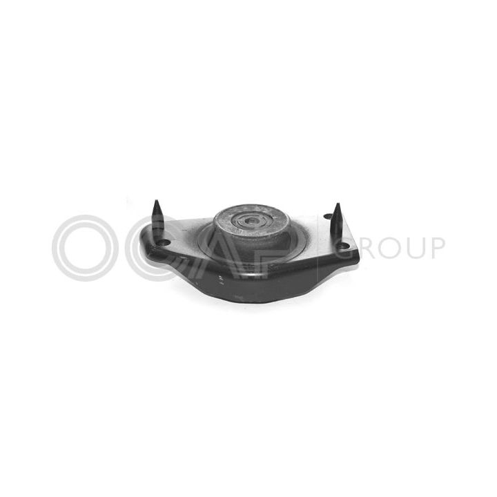 Variklio montavimas OCAP 1225469