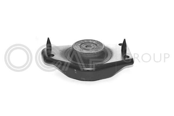 Variklio montavimas OCAP 1225469