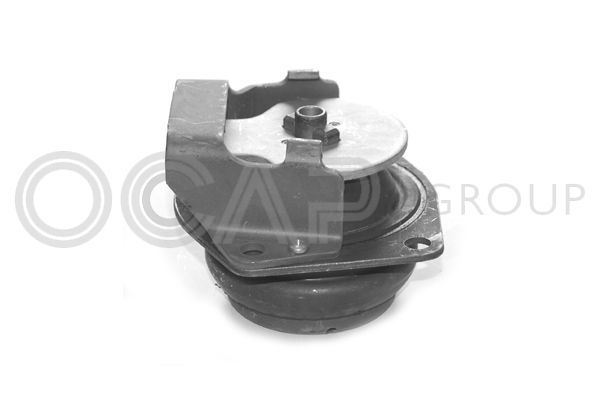 Variklio montavimas OCAP 1225479