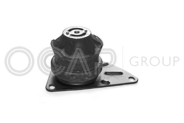 Variklio montavimas OCAP 1225494