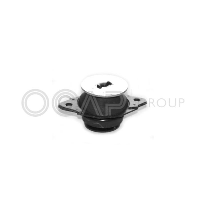 Variklio montavimas OCAP 1225507