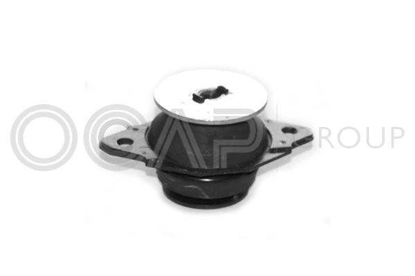 Variklio montavimas OCAP 1225507