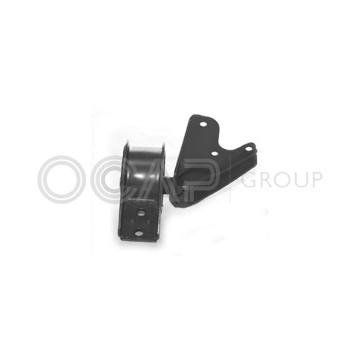 Variklio montavimas OCAP 1225522