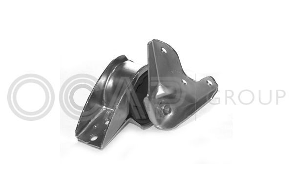 Variklio montavimas OCAP 1225523