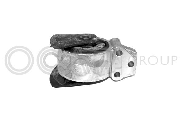 Variklio montavimas OCAP 1225571