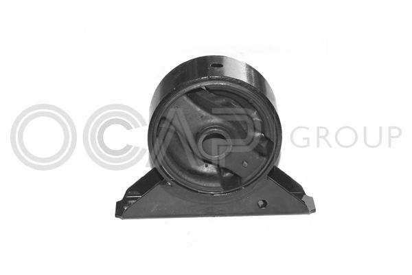 Variklio montavimas OCAP 1225579