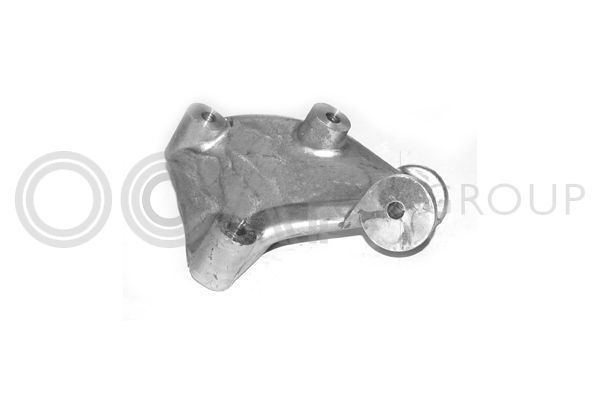 Variklio montavimas OCAP 1225593