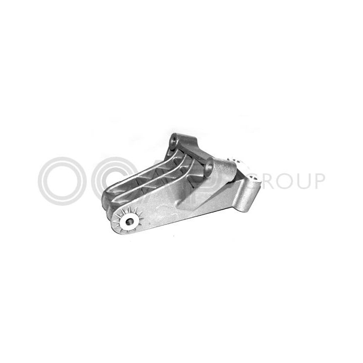 Variklio montavimas OCAP 1225597