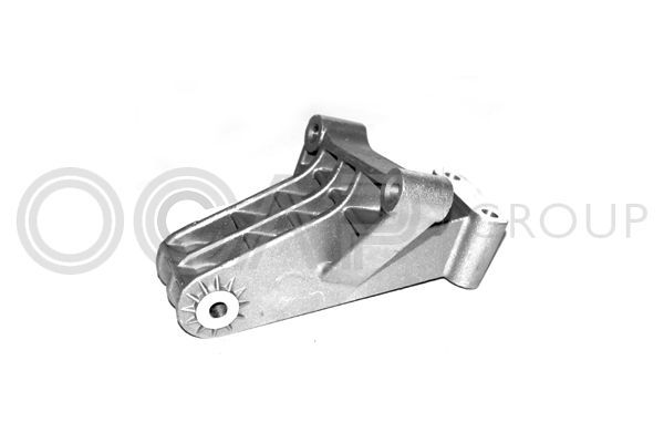 Variklio montavimas OCAP 1225597