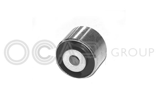 Variklio montavimas OCAP 1225600