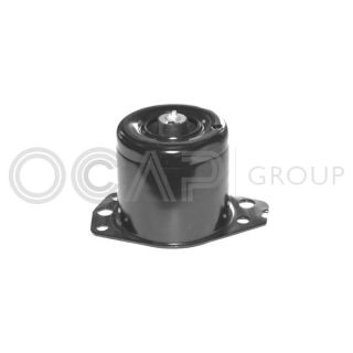 Variklio montavimas OCAP 1225604