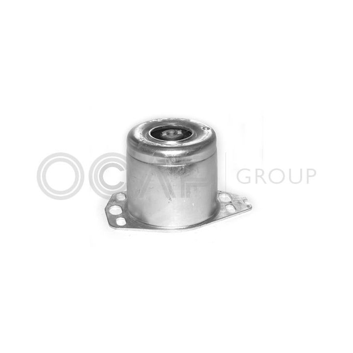 Variklio montavimas OCAP 1225609