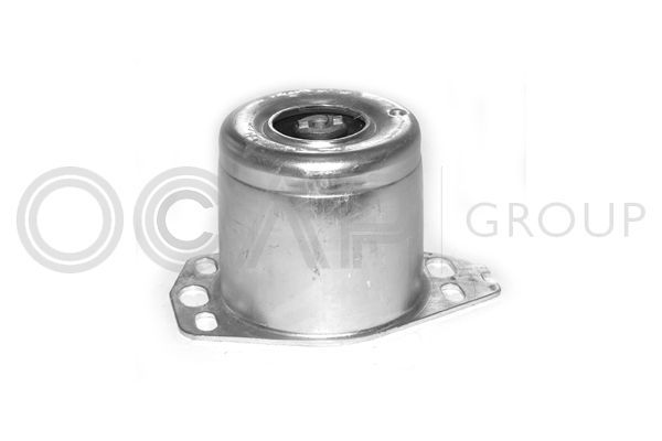 Variklio montavimas OCAP 1225609