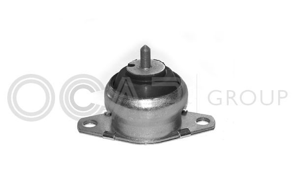 Variklio montavimas OCAP 1225614