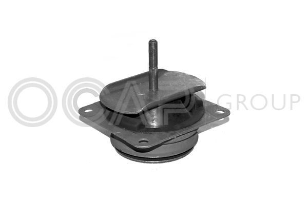 Variklio montavimas OCAP 1225618