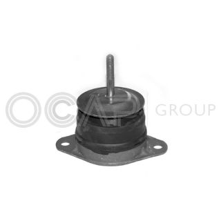 Variklio montavimas OCAP 1225619