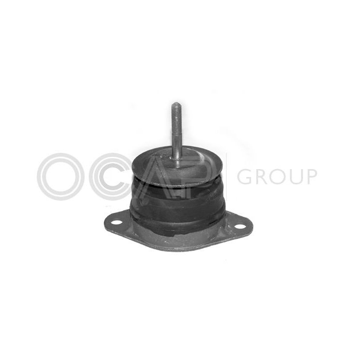 Variklio montavimas OCAP 1225619