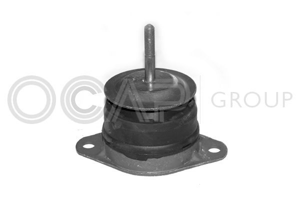 Variklio montavimas OCAP 1225619