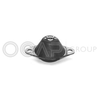 Variklio montavimas OCAP 1225631