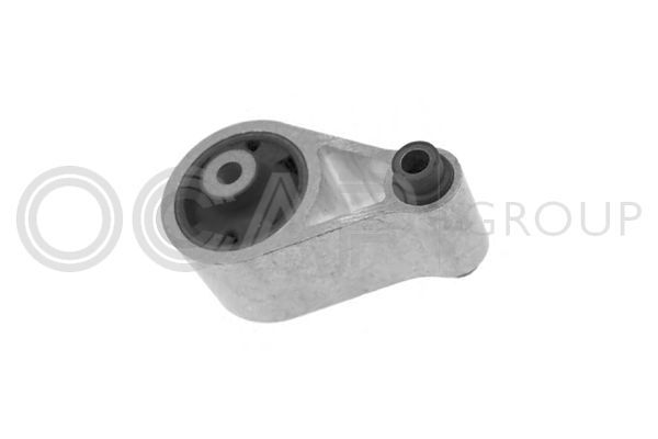 Variklio montavimas OCAP 1225642