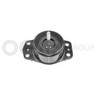 Variklio montavimas OCAP 1225643