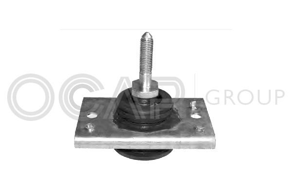 Variklio montavimas OCAP 1225644