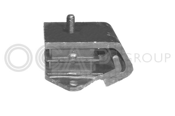 Variklio montavimas OCAP 1225645