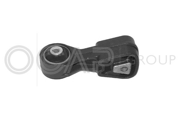 Variklio montavimas OCAP 1225649