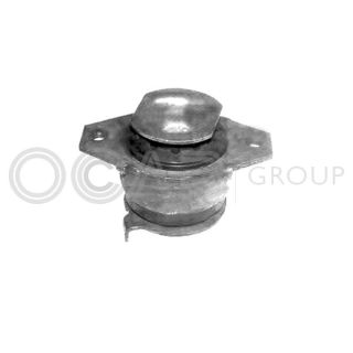 Variklio montavimas OCAP 1225654