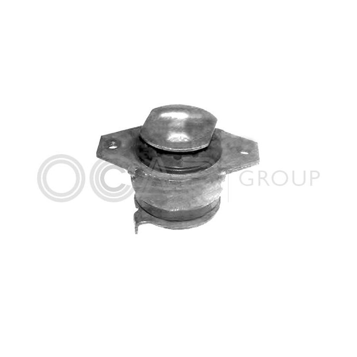 Variklio montavimas OCAP 1225654