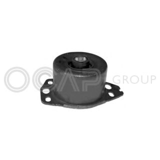 Variklio montavimas OCAP 1225655