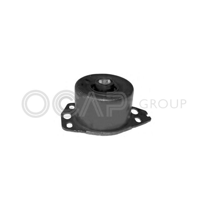 Variklio montavimas OCAP 1225655