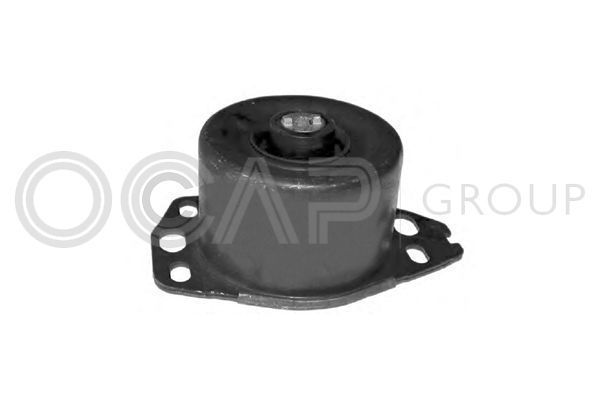 Variklio montavimas OCAP 1225655