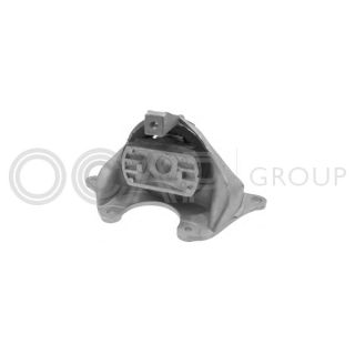 Variklio montavimas OCAP 1225656