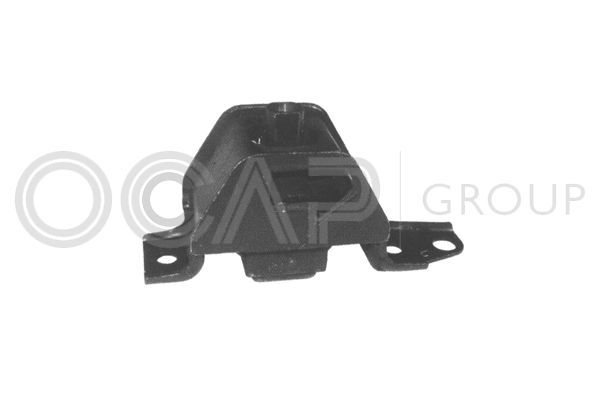 Variklio montavimas OCAP 1225668
