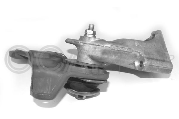 Variklio montavimas OCAP 1225672