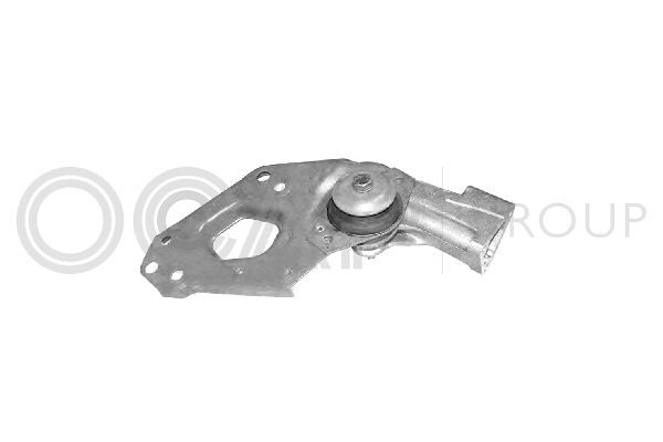 Variklio montavimas OCAP 1225674