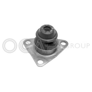 Variklio montavimas OCAP 1225675