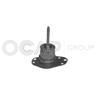 Variklio montavimas OCAP 1225676