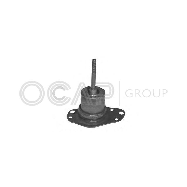 Variklio montavimas OCAP 1225676